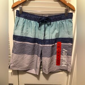 Hurley Men's Striped Blue Swim Board Shorts
